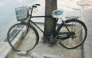 孕妇能骑自行车和电动车吗? 孕妇能骑自行车和电动车吗?